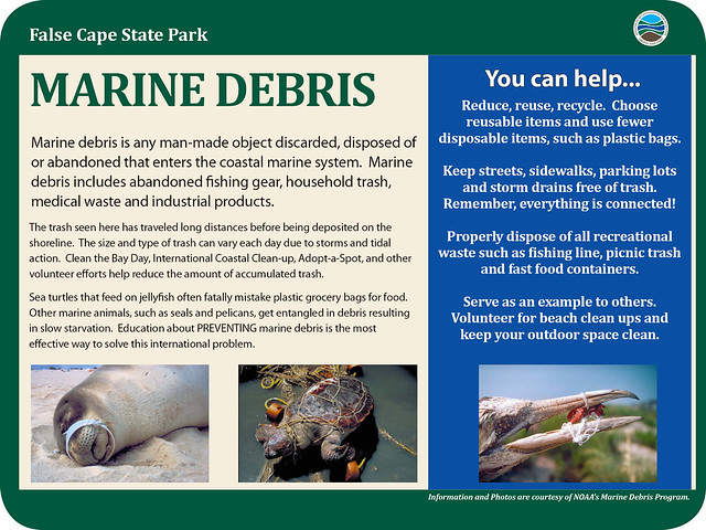Marine debris and trash are a serious problem for marine life and shore birds.  Pack your trash out and leave no trace. False Cape State Park, Virginia