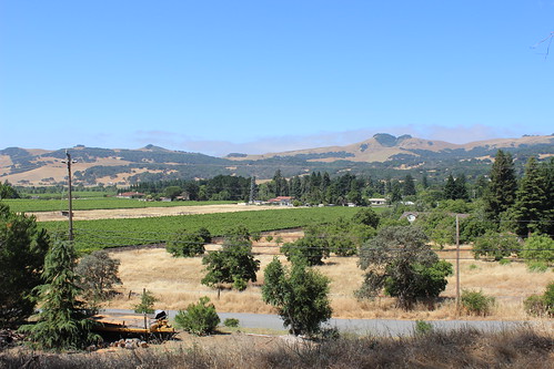 solano greenvalley wineyard wine california