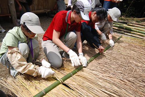 2010台東生態工作假期，志工利用黃藤將茅草與竹子固定，昨為生態廁所的牆面。