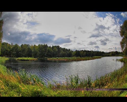 lake nature water grass heidesee gifhorn landscapewood