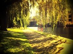 By the River - Norwich