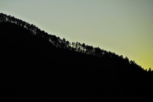 sunset sun france tree silhouette pine zonsondergang den boom ridge frankrijk tarn spar spruce zon silhouet massifcentral heuvelrug gorgesdutarn sainteenimie lozère blajoux languedocroussillion quezac