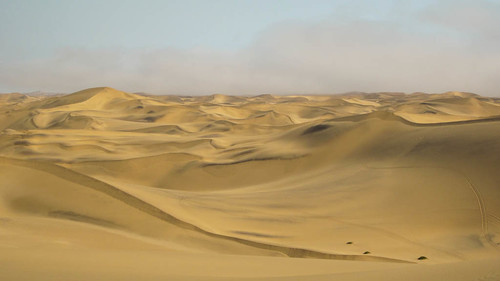 canon sand desert dune sable namibia swakopmund namibie ixus105