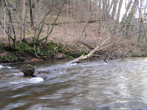 autumn nature water river poland polska natura woda jesień przyroda rzeka jesien pomorze pomorskie radunia borowo