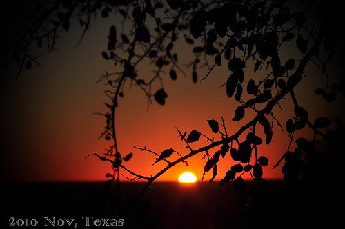 sunset copperascove