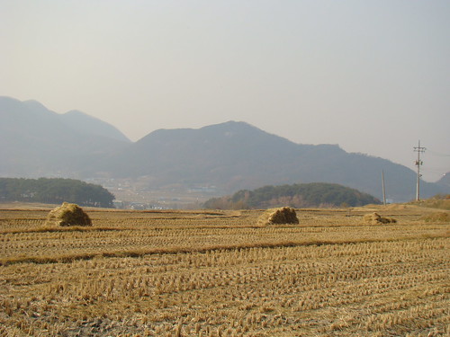 building home rural countryside village korea thatchedroof thatching asan oeamri onyangoncheon chungceongnamdo
