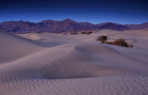 california sand desert dunes mesquite deathvalley stovepipewells deathvalleynationalpark mesquitedunes dsc026001c