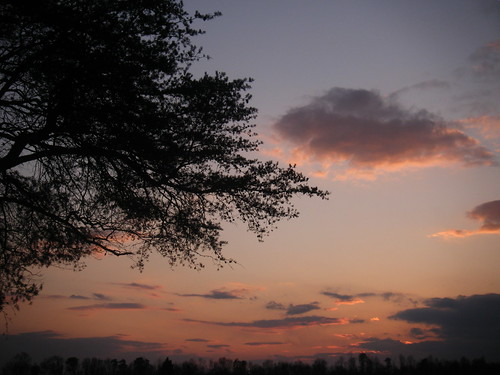 sunset tree clouds