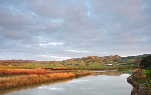 morning sunrise river reeds hills marsh greatoceanroad