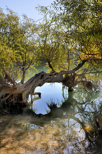 eau lac provence arbre étang vaucluse vivelanature cabrièresdaigues