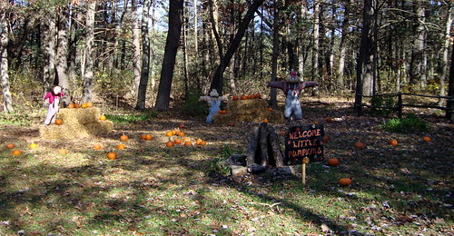 railroad autumn fall wisconsin train pumpkin pumpkins scarecrow harvest rail rr pumpkinpatch railyard wi wisconsindells dells scarecrows trainride pumpkintrain railfans rgn scalerailroad riversidegreatnorthernrailway