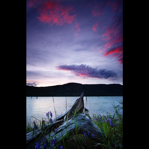 flowers sunset red canada lakes columbia driftwood british arrow fauquier oldlog