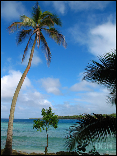 ocean blue seascape turquoise lagoon palmtree coconutpalm philscamera vanuatu coralsea portvila viewfromtheroom efate cocosnucifera erakorisland erakorlagoon erakorislandresort