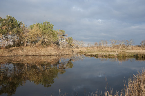 france reflection reflet marsh peninsula marais bassindarcachon capferret aquitaine gironde leteich ornithologie presquîle parcornithologique parcornithologiqueduteich