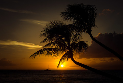 beach d7200 hawaii maui nikon ocean pacific pacificocean seascape sunset palmtrees sand vacation ©bradmaberto