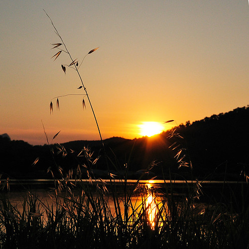 sunset orange sun lake see spain nikon sonnenuntergang mallorca sonne spanien majorca gegenlicht balearen gräser alcudia d90 dblringexcellence tplringexcellence
