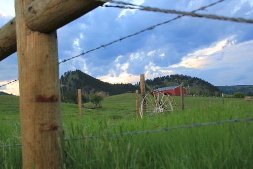 sunset cloud grass wheel fence farm top2510annivrunnerup