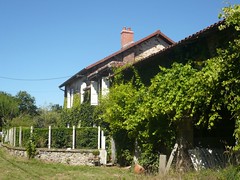Maison verte - Photo of Sauviat-sur-Vige