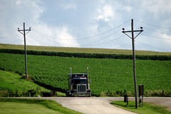2006-07-26 - 29 -  Road Trip - Day 03 - United States - Iowa - Dyersville - Field of Dreams - Truck