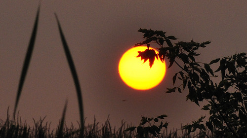 sunset miltonwi