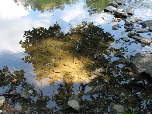 reflection river belgium belgië weerspiegeling wallonie rivier semois herbeumont
