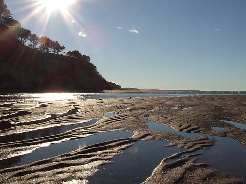 newzealand beach scenery bayofplenty pukehina