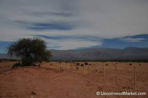 argentina landscape scenery desert salta cafayate dpn northernargentina