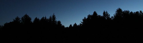 morning blue trees sky nature silhouette night star evening vermont venus planet stowe waterbury