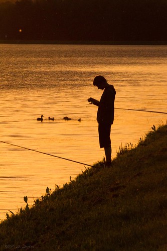 sunset summer lake silhouette fisherman shoreline ducks poland manmade fishingpole rybek zalew krasnik lubelskie krasńik