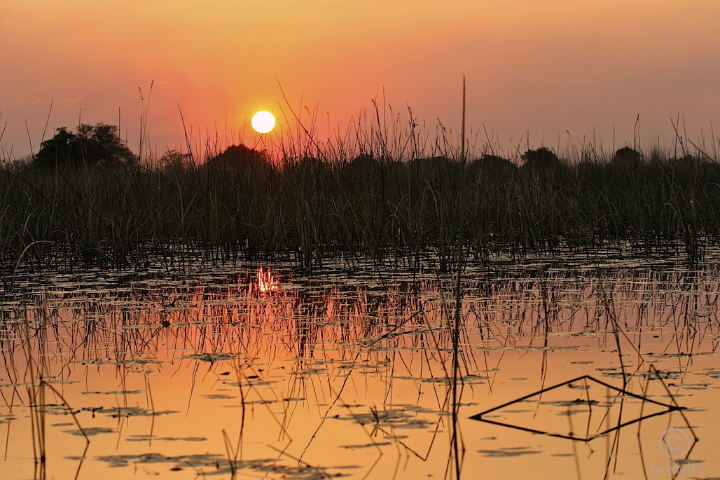 okavango delta in botswana top places to visit in africa