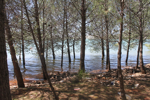 trees lake spain córdoba grandtour iznájar