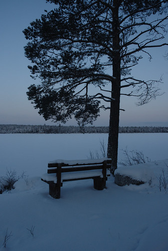 winter lake snow tree bench vinter sweden lappland lapland snö träd sjö bänk fredrika