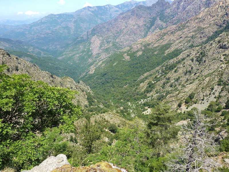 Sentier de la transhumance : vue de la vallée vers Monte Estremu