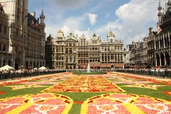 Belgique - Bruxelles - 2010 Tapis de Fleurs Grand-Place