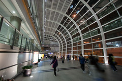 Hong Kong International Airport (赤鱲角機場)