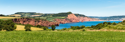 red cliff sandstone panorama coast landscape fields clover trees sea bay devon england uk outdoor hill high peak