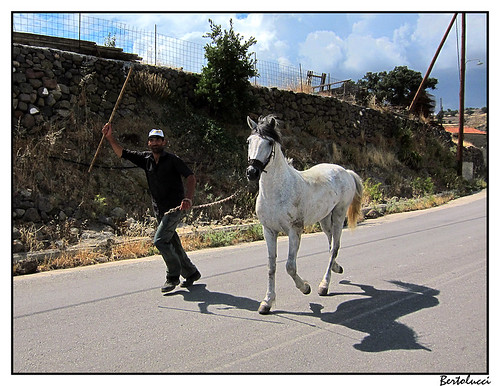 horse man geotagged shadows aegean lesbos greeece taravi geo:lat=39110683 geo:lon=25992365