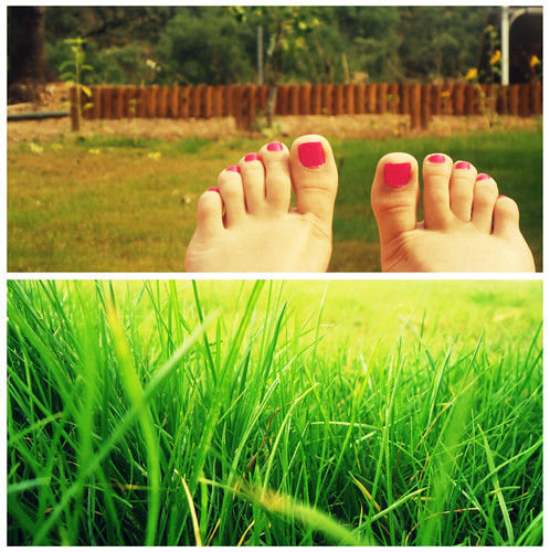 pink summer green feet grass fence nails