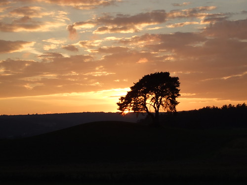 sunset sun tree set