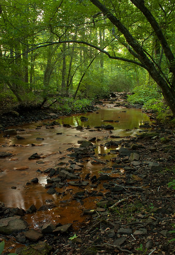 summer green nature water creek canon stream ar arkansas 1855mm canonefs1855mm greenbrier canon1855mm 50d faulknercounty arkansasstatepark canon50d woollyhollow img5842 woollyhollowstatepark