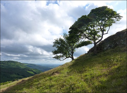 trees sky wales clouds landscape countryside unitedkingdom powys severnvalley gbr breiddenhill criggion