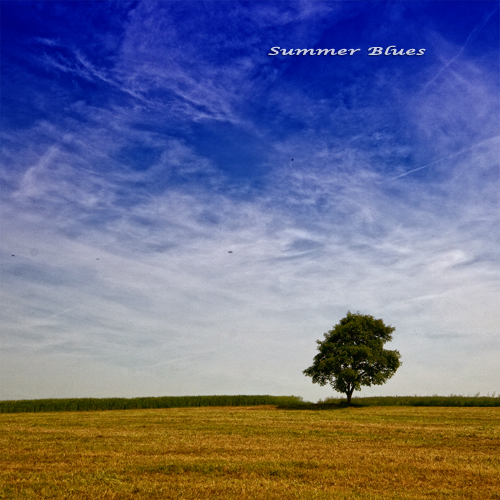 blue sky tree field germany hessen sascha rhön hesse rueb rüb allrightsreserved©sascharueb sash´skitchenstudiophotography