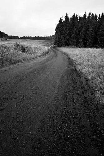 road white black forest landscape sweden sverige gravel östergötland sigma1020mmf456exdchsm bjärkasäby canoneos7d