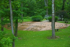woodland labyrinth area