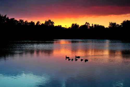 park family sunset water creek reflections duck ducklings kansas mallard wichita chisholm chisholmcreekpark peregrino27newvision