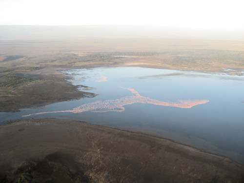 flying lake flamingo geotagged geo:lat=04643389417070265 geo:lon=3625694274902344 geoafrica fromabove kenya lakeelementaita set:name=200911kenya 0tagged hotairballoon elementaita