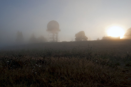 seattle fog sunrise washington meadow magnolia discoverypark weatherradar seattlecityparks