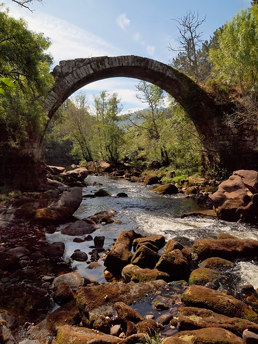 bridge trees water río river spain stones medieval ponte galicia avia boborás pazosdearenteiro pontedacruz