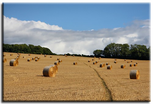 blue autumn sky field clouds kent path farm harvest straw bales hdr stubble eynsford gamewinner darentvalley motifdchallengewinner friendlychallenge pregamewinner
