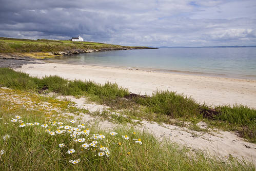 ireland sea summer sunlight beach water clouds daisies bay sand cottage coastal countydonegal